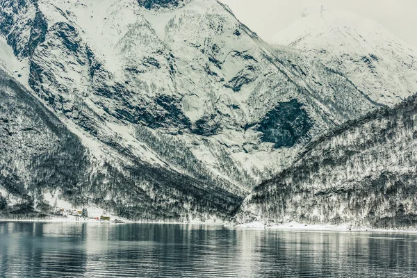 Norské fjordy — Stock fotografie