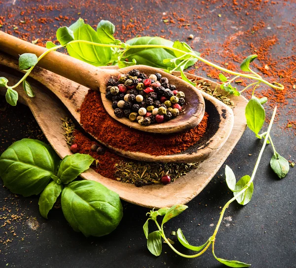 Cuillères en bois avec épices et herbes — Photo