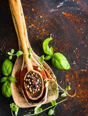 tahta kaşıklar baharat ve otlar ile