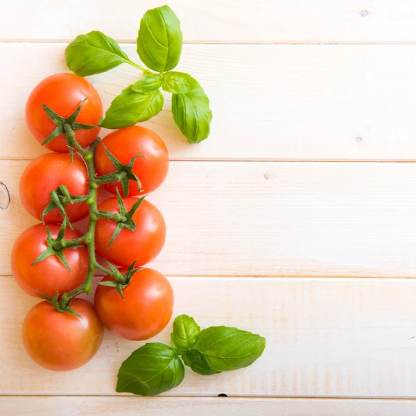 Pomodori e basilico — Foto Stock