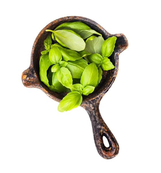 Basilic leaves in a pan — Stock Photo, Image