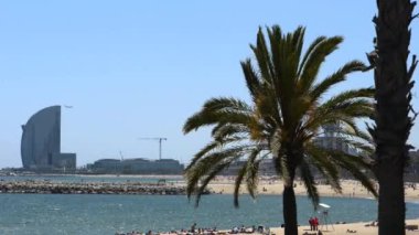 palmiye ağacı üzerinde Barcelona beach