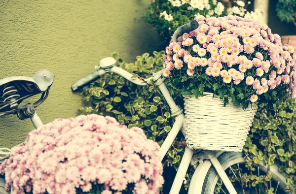 Bici con flores — Foto de Stock