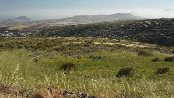 Paisaje de montaña con campo verde — Vídeo de stock