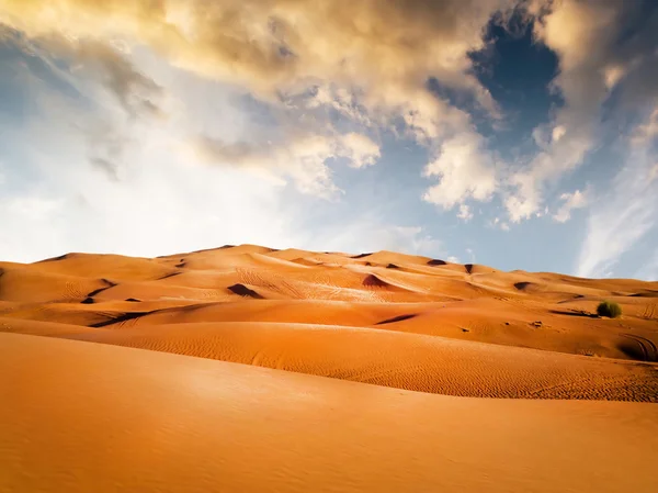 Zandwoestijn — Stockfoto