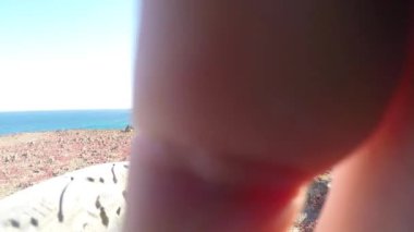Bisikletçi deniz kenarı