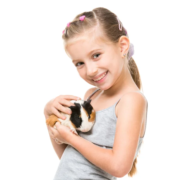 Liten flicka håller ett marsvin — Stockfoto
