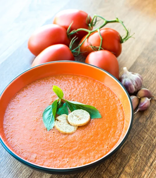 Bowl van tomatensoep gaspacho — Stockfoto