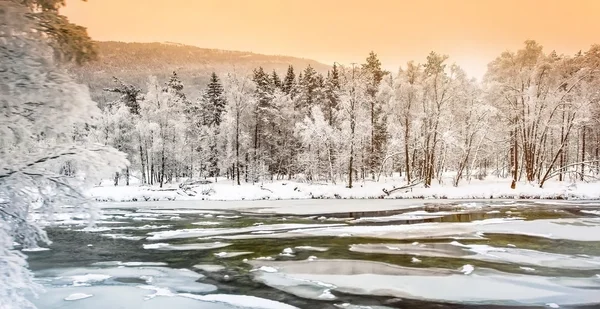 Vinterlandskap — Stockfoto