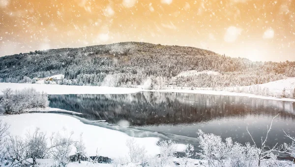 Winter landscape — Stock Photo, Image