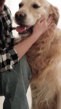 Kadın Ayakkabı Bağcığı Bağlar ve Sevimli Altın Köpek Her Gün Yürümeden Önce, Dikey Video