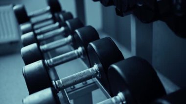 Spor salonunda farklı ağırlıklarda dambıllar, vücut geliştirme aletleri.