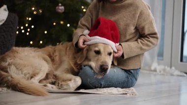 Noel ağacına karşı evinde altın bir av köpeği takan ve üzgün görünen bir kız.