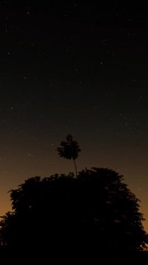 Hareketli Yıldızlar, Ağaç Silueti ve Dikey Görüntü ile İnanılmaz Zaman Hızı