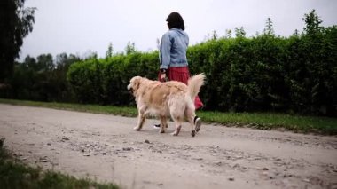 Çekici Kadın Sabah rutininin bir parçası olarak Büyük Altın Köpekle Yürüyor