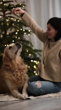 Kız evdeki koltukta komik, oyuncu, altın bir köpekle oynuyor, dikey video.