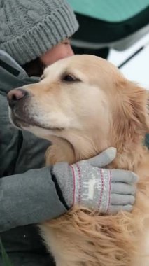 Kış Rüzgarı Altında Güzel Bir Köpeğin Portresi, Dikey Video
