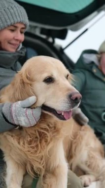 Kışın Altın Avcı Köpek Portresi Sahipleriyle Araba Bagajında Oturmak, Dikey Video