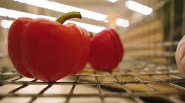 Kız kırmızı biberleri alışveriş arabasına koyar ve arabayı iterek, manzarayı arabanın içinden seyreder.