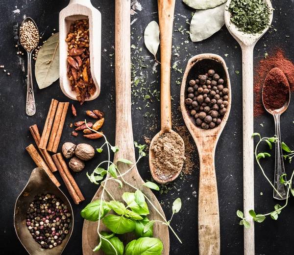 Wooden spoons with spices and herbs — Stock Photo, Image