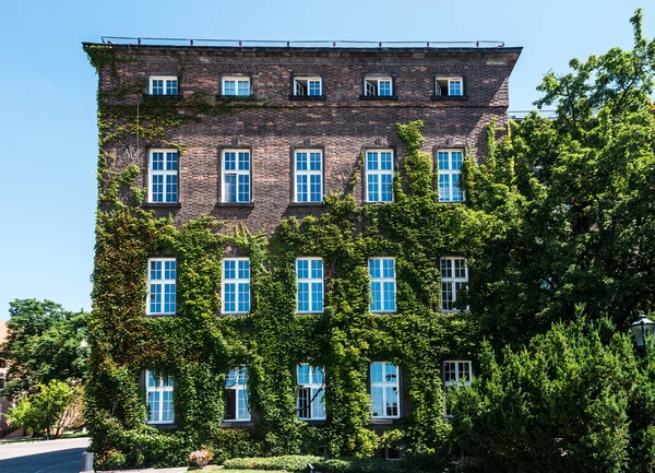 Huis in druiven in Krakau — Stockfoto