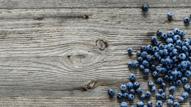 yaban mersini bir tablo ve bir metin alanı