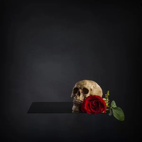 Εννοιολογική κρανίο και κόκκινο τριαντάφυλλο σε πλατφόρμα — Φωτογραφία Αρχείου