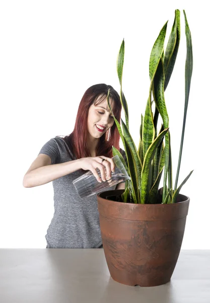 Happy Woman Watering a Green Plant in a Pot — Stock Photo, Image