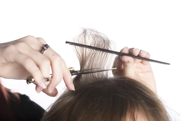 Hairdresser Hands Cutting Hair of a Customer — Stock Photo, Image