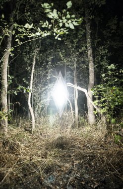 Mysterious Glowing Object Hovering in Forest Glade clipart
