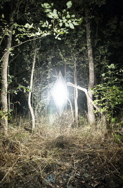 Mysterious Glowing Object Hovering in Forest Glade