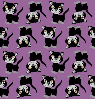 Kedilerle kusursuz bir arka plan