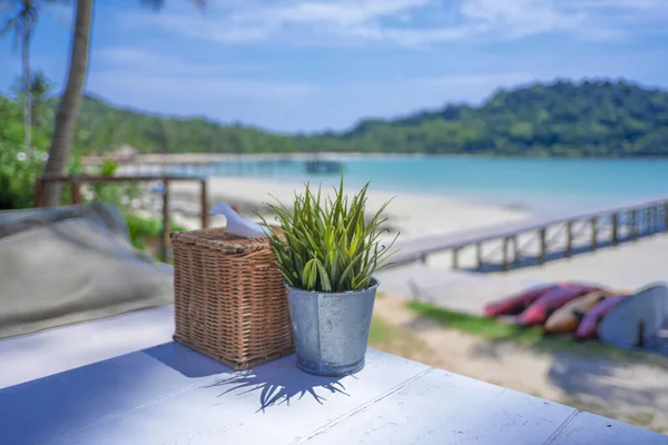 Jarrón Plantas Junto Mar — Foto de Stock