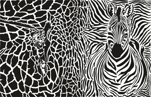 Achtergrond met zebra en giraffe — Stockvector