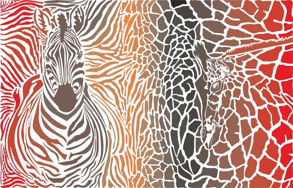 Animal background of zebra and giraffe — Stock Vector