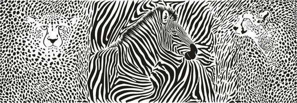Schwarz Weißes Grafisches Muster Mit Zebra Und Gepardenmotiv — Stockvektor