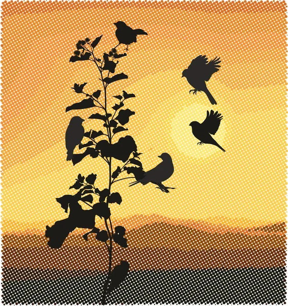 Vektor Illustration Kleiner Singvögel Auf Klette Hintergrund Rasterlandschaft Mit Sonnenuntergang — Stockvektor