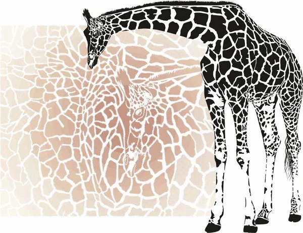 Raster Sfondo Illustrazione Con Motivo Giraffa Piedi Giraffa — Vettoriale Stock