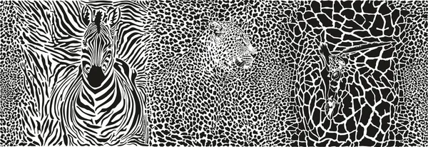 Fundo Padrão Ilustração Com Leopardo Girafa Zebra — Vetor de Stock