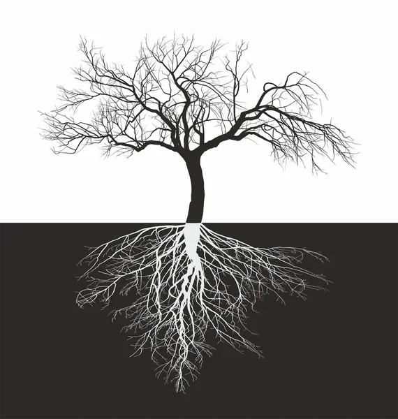 Apple träd utan löv med rötter — Stock vektor