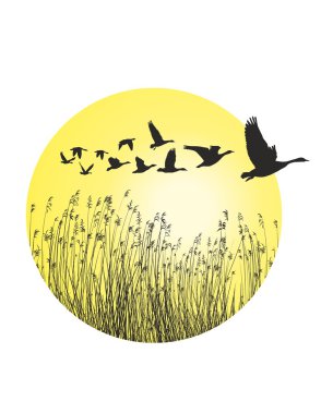 Geese and reeds in the ring clipart