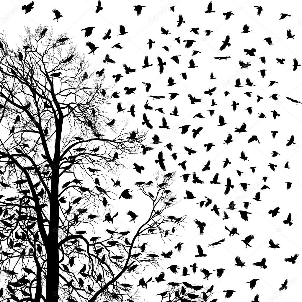 Flock of crows