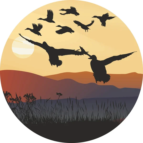 Mallard ducks at sunrise and hilly landscape — Stock Vector