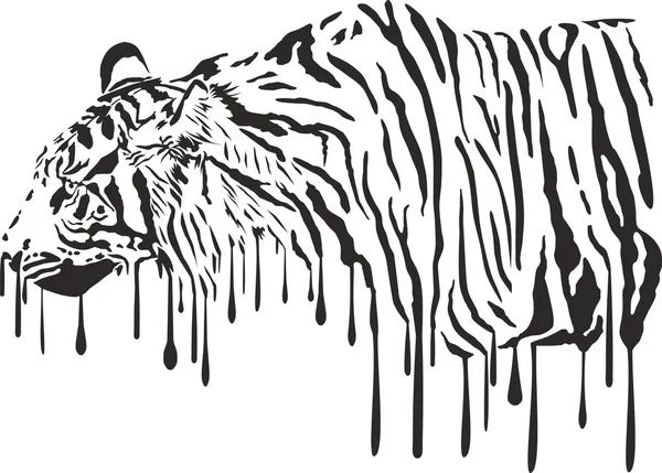 Tigre, peinture abstraite sur fond blanc — Image vectorielle