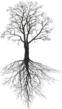 Walnut tree with roots clipart