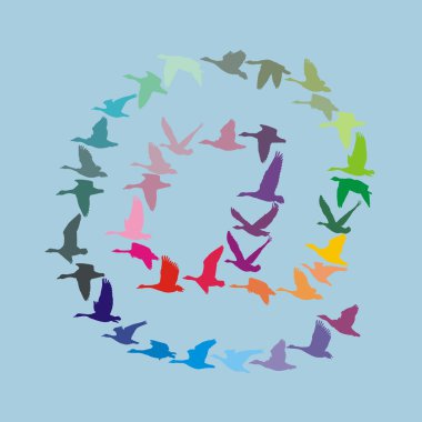 Uçan kaz renk işareti yazı