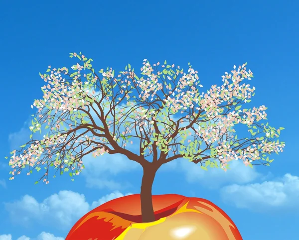 Bloeiende appelboom in het voorjaar — Stockfoto