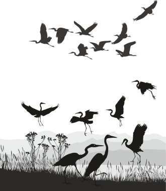 Herons on the shores of Lake clipart