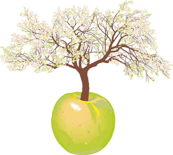 Blossoming new apple tree — Stock Vector