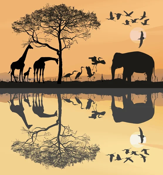 Savana with giraffes, herons and elephant — Stock Vector